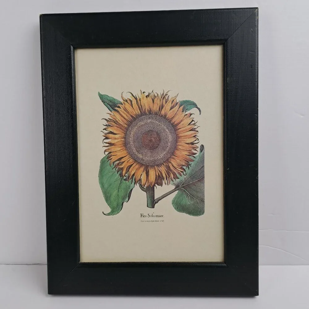 Flos Solismaior, Sunflower Floral Print